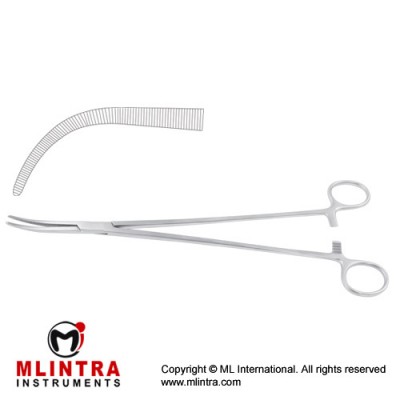 Zenker Dissecting and Ligature Forcep Curved Stainless Steel, 28.5 cm - 11 1/4" 